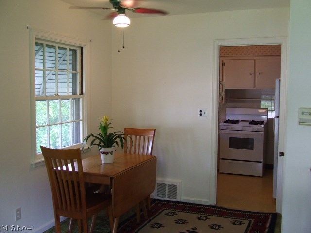 Buena Vista Villas Allotment - Residential