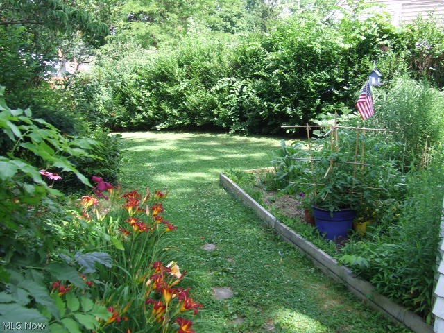 Buena Vista Villas Allotment - Residential