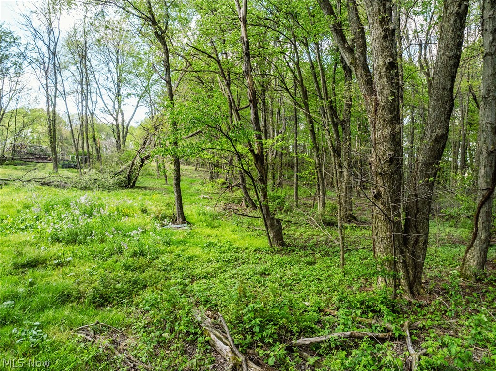 8480 Possum Hollow Road NW