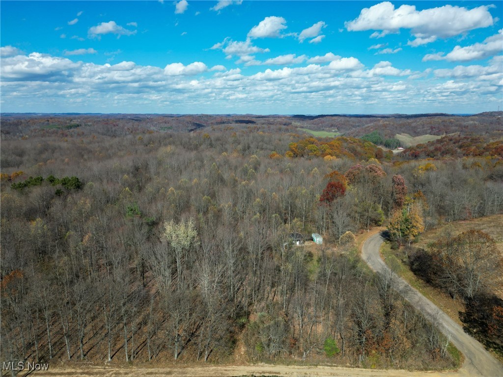 Sleepy Elm Road, Newcomerstown, Ohio image 25