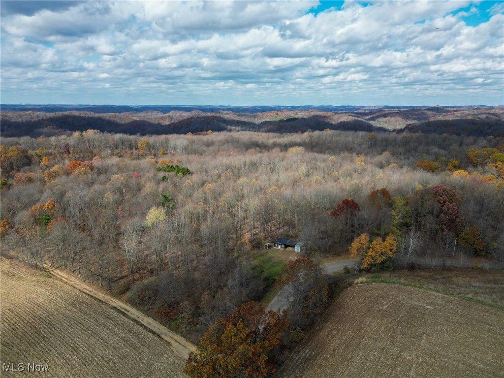 Sleepy Elm Road, Newcomerstown, Ohio image 13