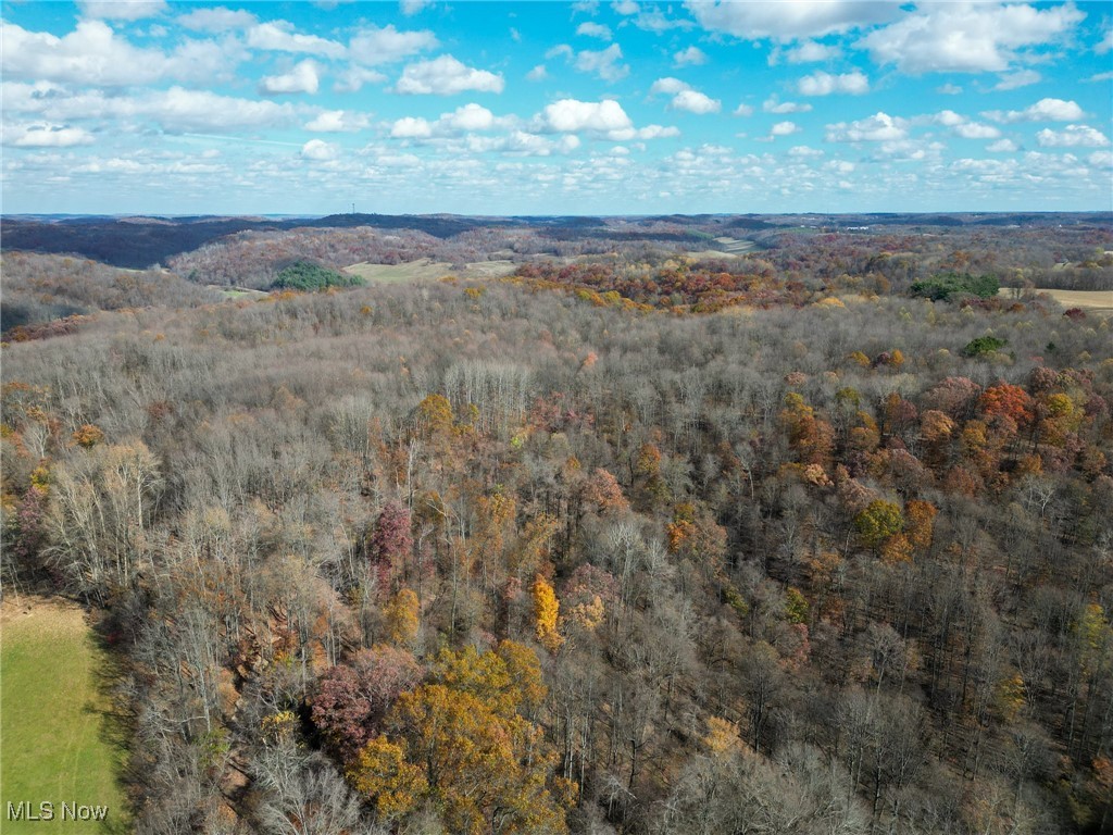 Sleepy Elm Road, Newcomerstown, Ohio image 18