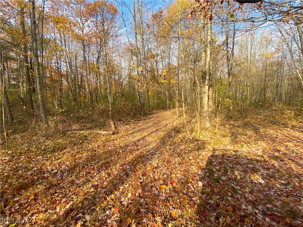 Sleepy Elm Road, Newcomerstown, Ohio image 6