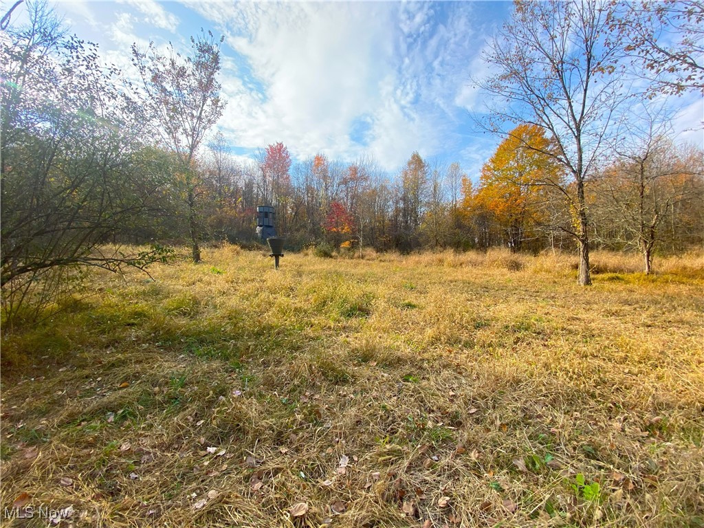 Sleepy Elm Road, Newcomerstown, Ohio image 1