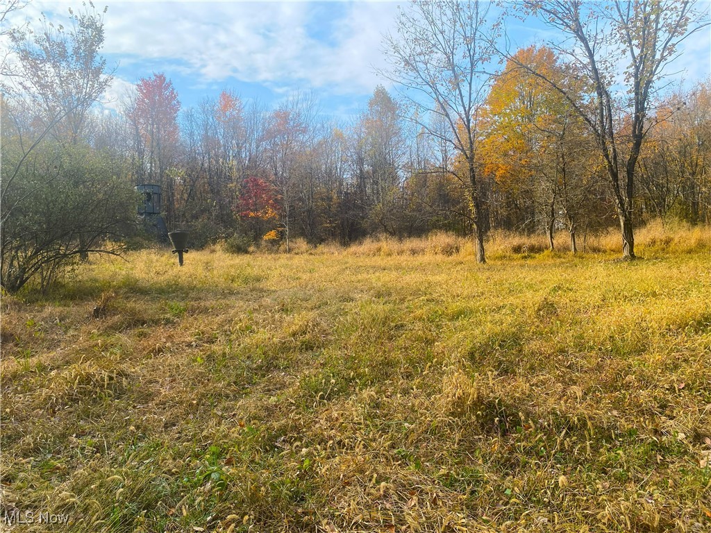 Sleepy Elm Road, Newcomerstown, Ohio image 7