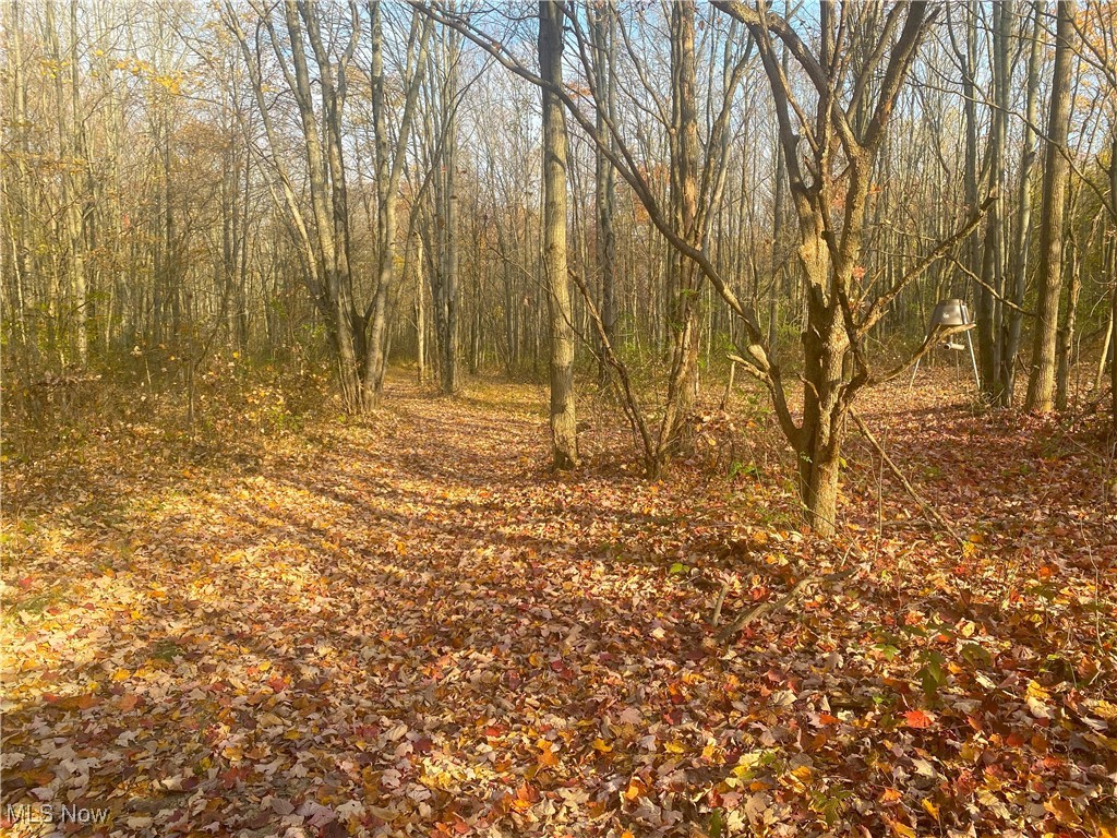 Sleepy Elm Road, Newcomerstown, Ohio image 5