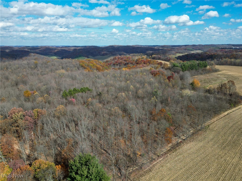 Sleepy Elm Road, Newcomerstown, Ohio image 15