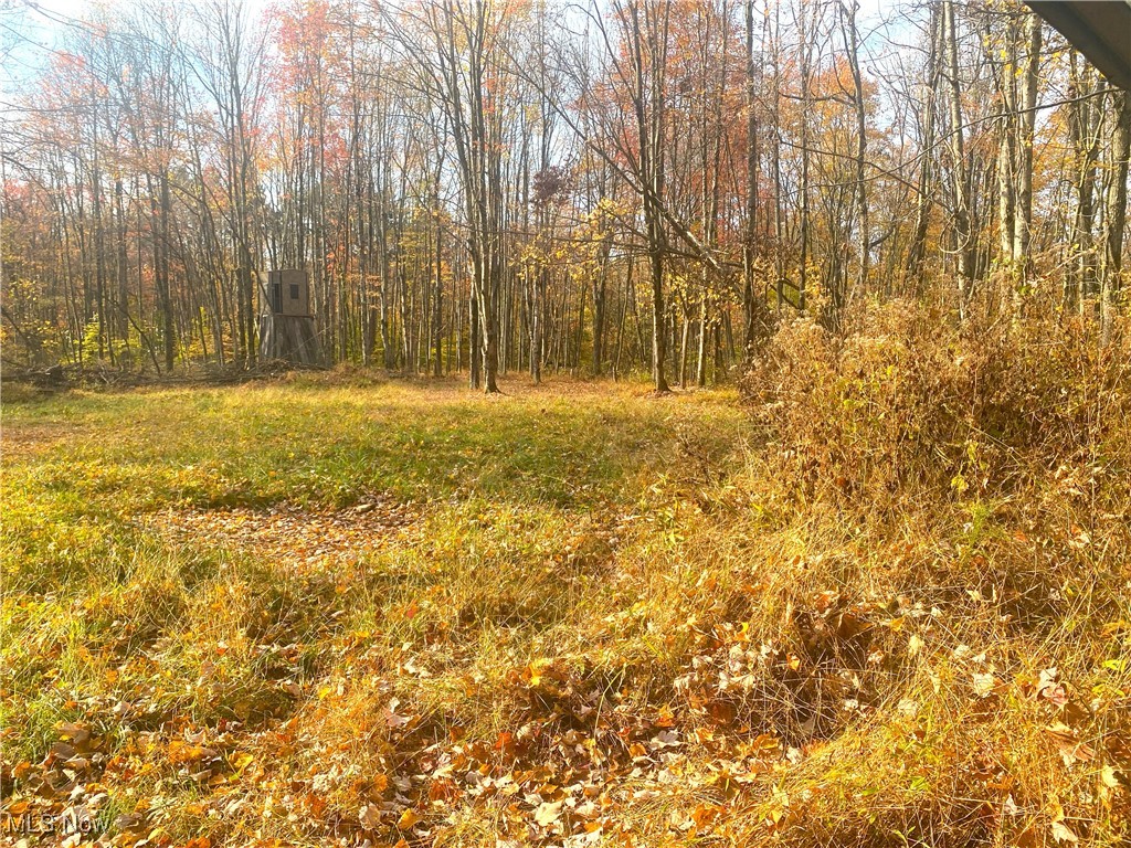 Sleepy Elm Road, Newcomerstown, Ohio image 9