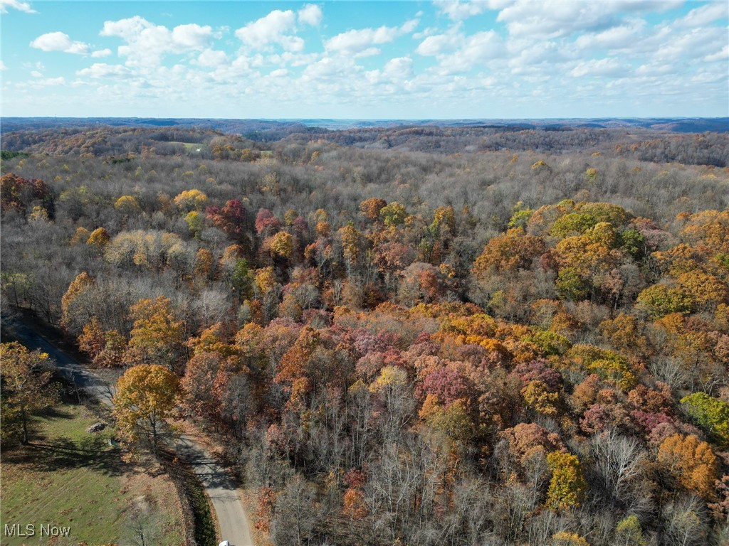 Sleepy Elm Road, Newcomerstown, Ohio image 22