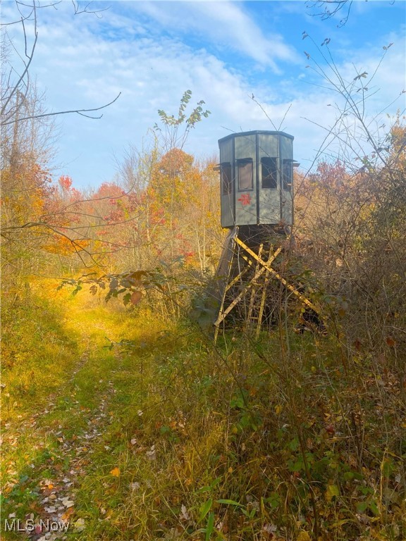 Sleepy Elm Road, Newcomerstown, Ohio image 8