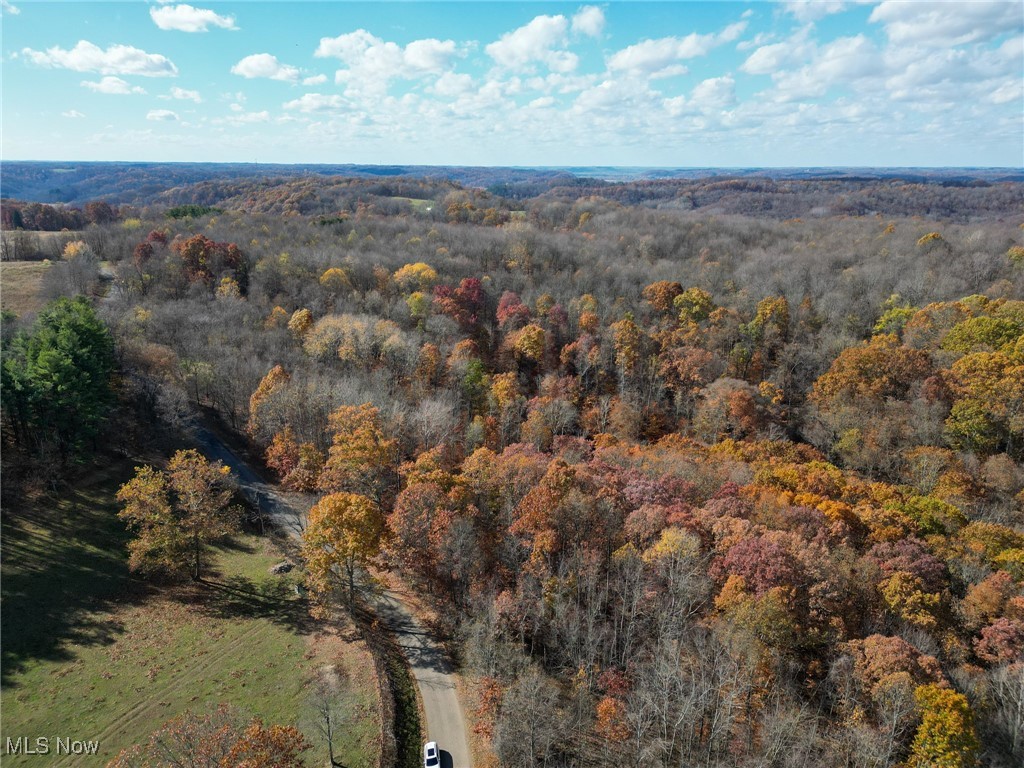 Sleepy Elm Road, Newcomerstown, Ohio image 21