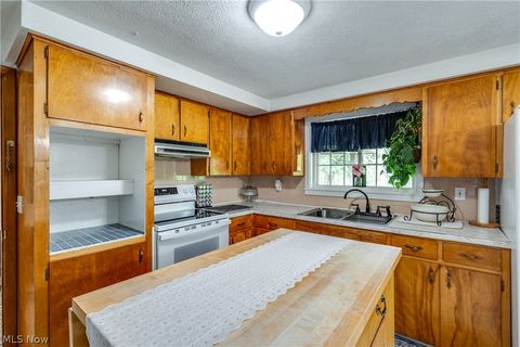 Tiny photo for 12722 Lisbon Street SE, Paris, OH 44669 (MLS # 5221939)