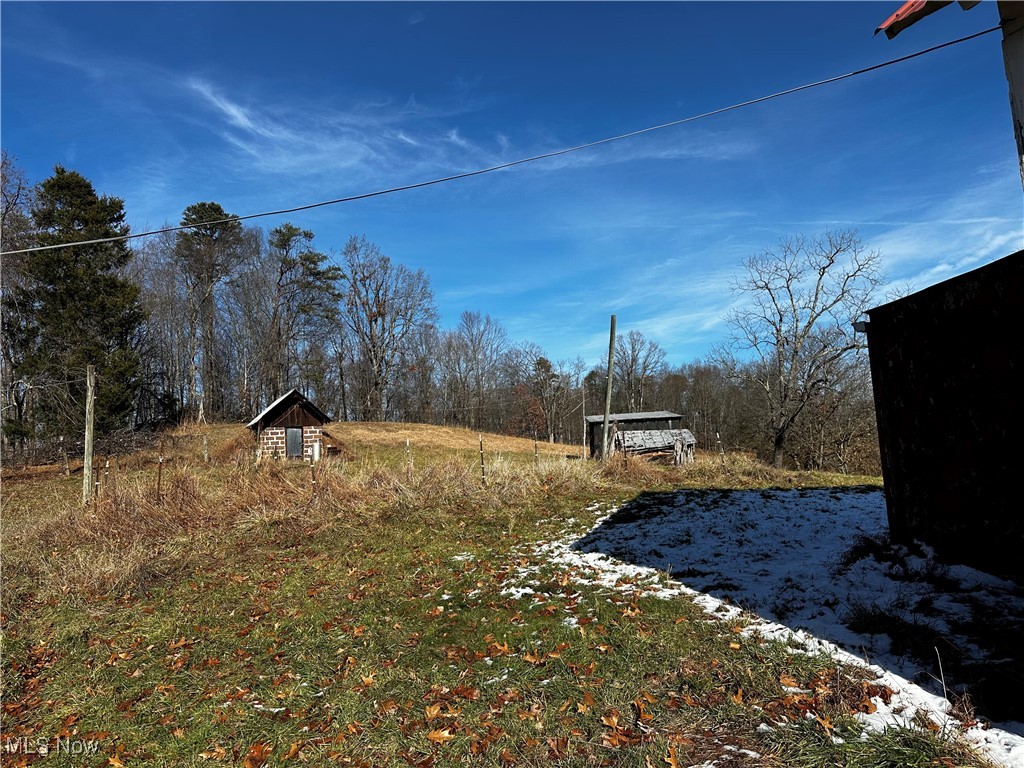 825 Cranenest Road, Reedy, West Virginia image 14