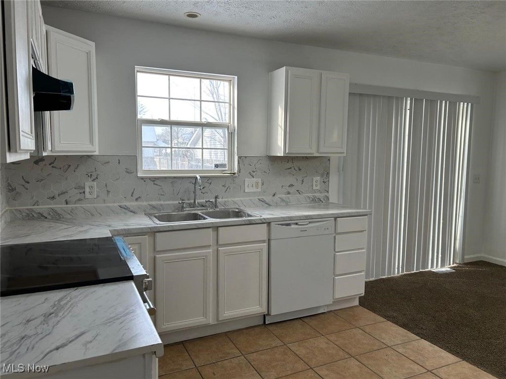 Photo of 3164 E 130 Street, Cleveland, OH 44120 (MLS # 5177659)