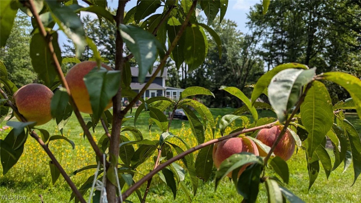 Vienna Township Sec 01 - Residential