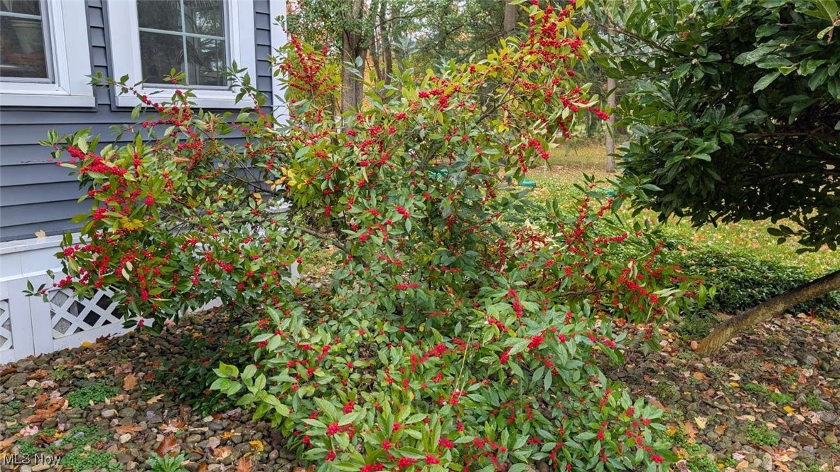 Vienna Township Sec 01 - Residential