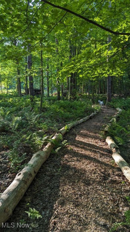 Vienna Township Sec 01 - Residential