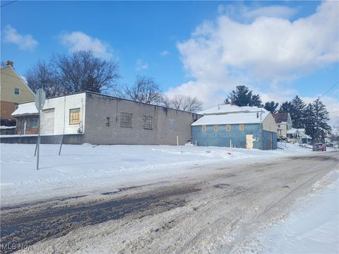 Photo of 1730 Mahoning Avenue, Youngstown, OH 44509 (MLS # 5178835)