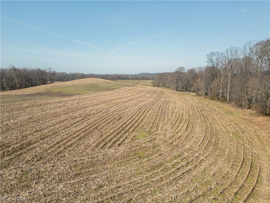 Parcel 5 - Parcel 5 is an open 5-acre tract with 294 feet of frontage, offering a ready-to-use building site in a peaceful rural area. Its manageable size and layout make it ideal for a country home with room for a yard, garden, or small outbuildings.