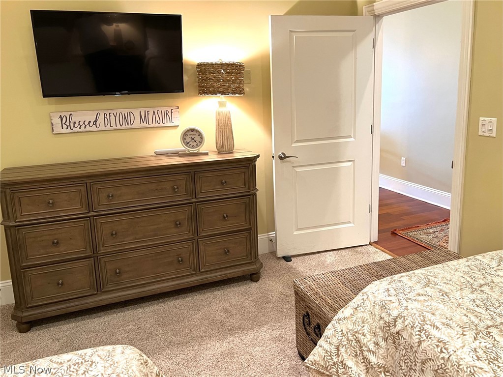 Lake Erie Lake Condo - Residential