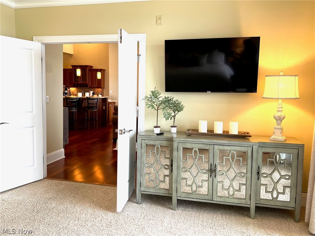 Lake Erie Lake Condo - Residential