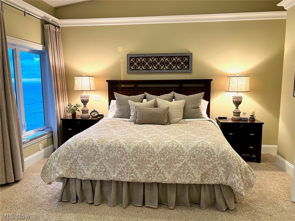 Lake Erie Lake Condo - Residential