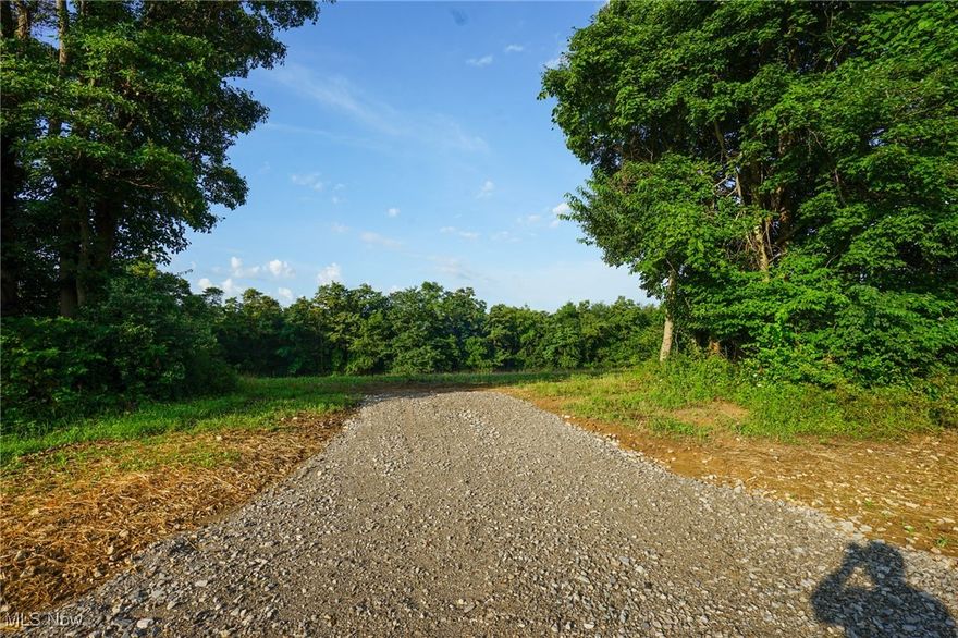 Buyers Agent must be with client at all times while on this listings. Do NOT send clients to look or walk
properties without Buyers Agent present without Listing Agents approval.