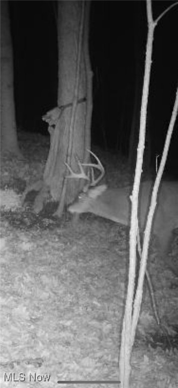 Village/Calais - Residential