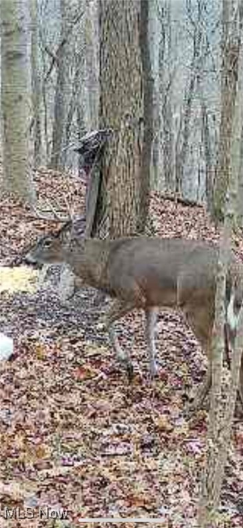 Village/Calais - Residential
