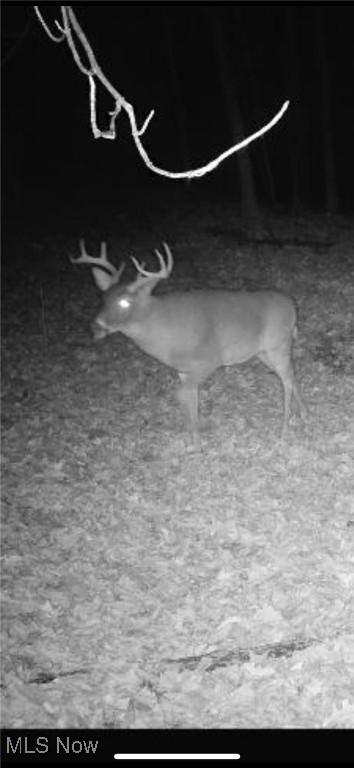 Village/Calais - Residential