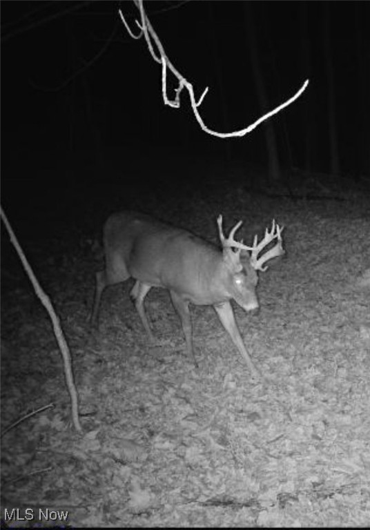 Village/Calais - Residential