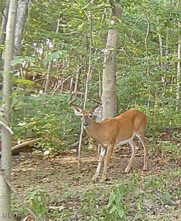 Village/Calais - Residential