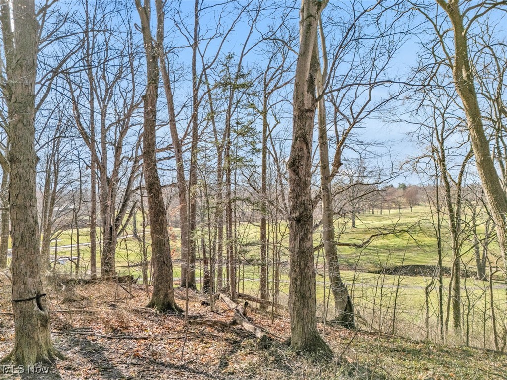 555 E Milton Street, Alliance, Ohio image 36