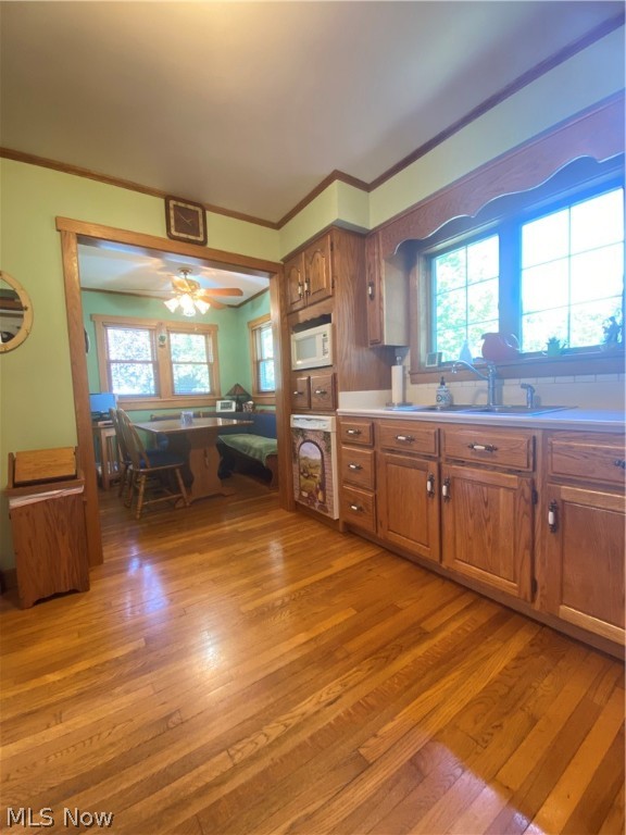 Village/Burton - Residential