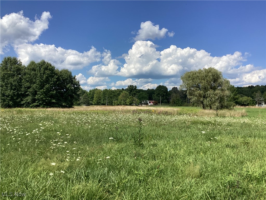 Giddings Road, Atwater, Ohio image 6