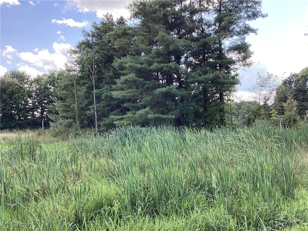 Giddings Road, Atwater, Ohio image 8