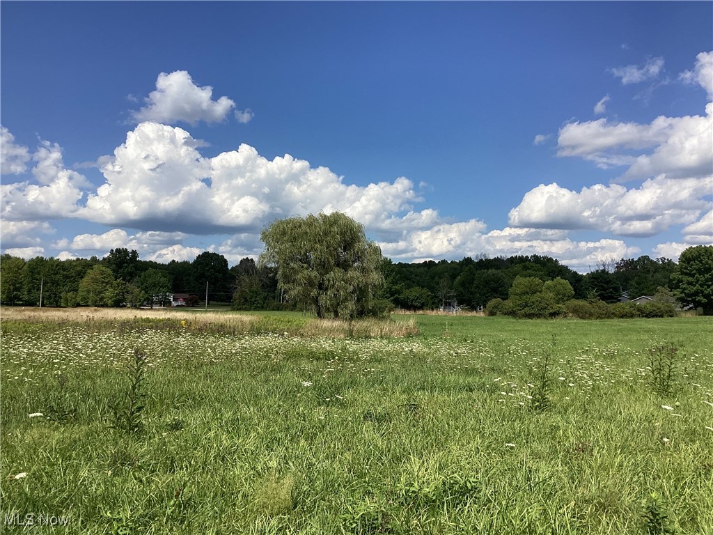 Giddings Road, Atwater, Ohio image 9