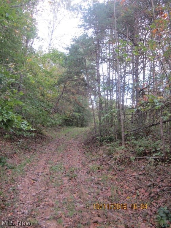 Taking ONLINE BIDS!
If you’re looking for a place to build or hunt then this may be the one. Being mostly wooded this property lays very well for hunting with a few open areas for food plots, a creek, a small watering hole as well as good cover and trails throughout. This land also has a potential home and or cabin site. Feel free to walk at your convenience