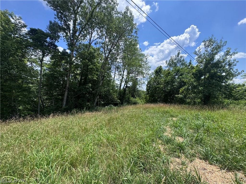 Brokaw Farm SD - Land