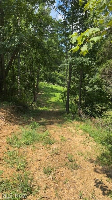 Brokaw Farm SD - Land