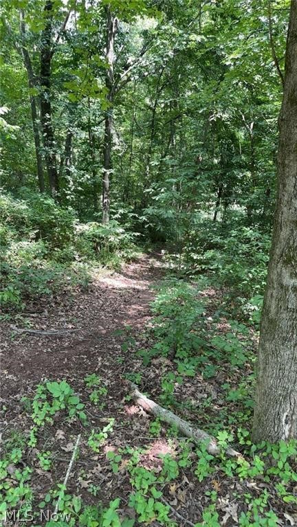 Brokaw Farm SD - Land