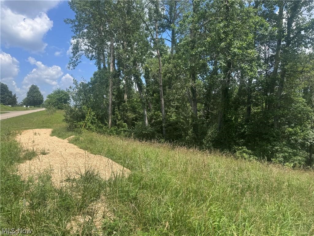 Brokaw Farm SD - Land