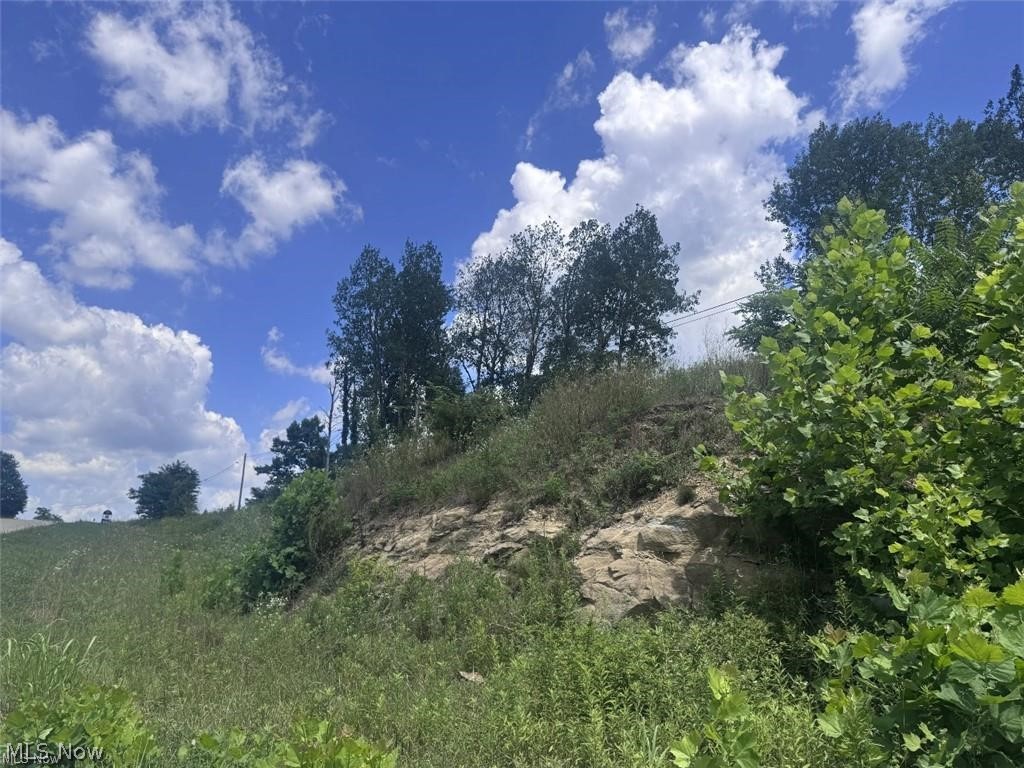 Brokaw Farm SD - Land