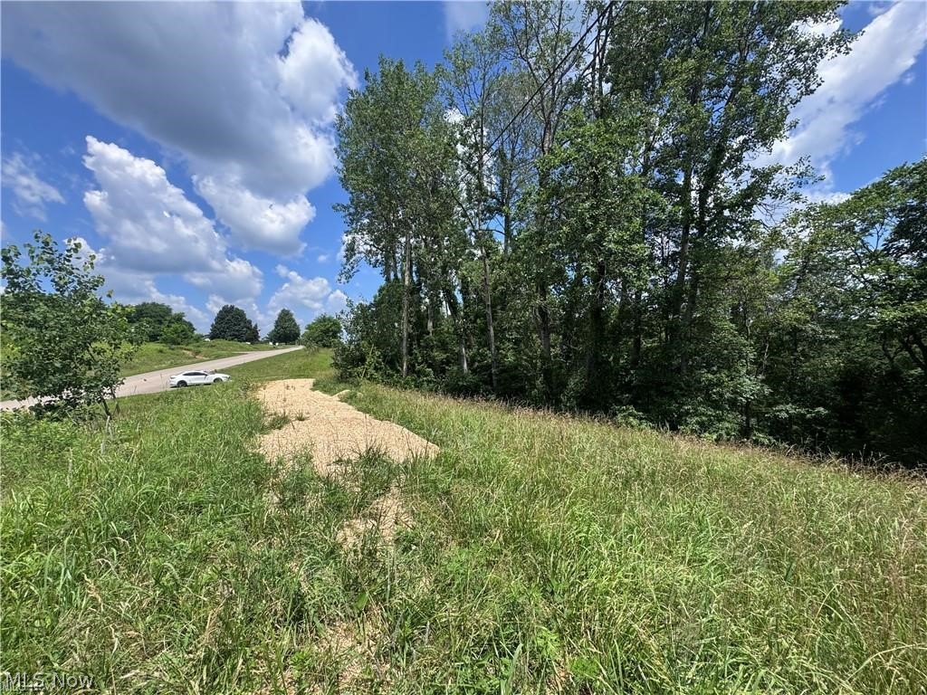 Brokaw Farm SD - Land