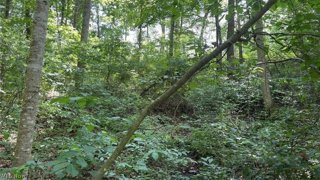 Brokaw Farm SD - Land