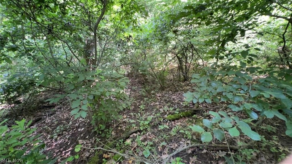 Brokaw Farm SD - Land