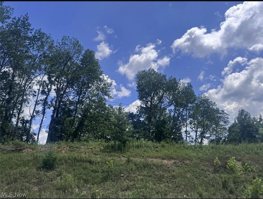 Brokaw Farm SD - Land