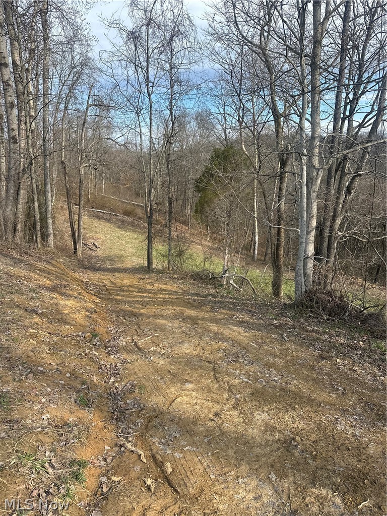 Brokaw Farm SD - Land