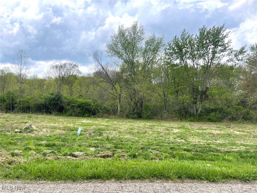 This buildable .62 acre partially wood lot is on a dead end street and is located in the Perry Local School District. Lot is level and has 70' of frontage and is 383' deep. Public water and public sewer. Directions: Erie St. to east on Forest Ave. SE. to south on Candell St. SE.
