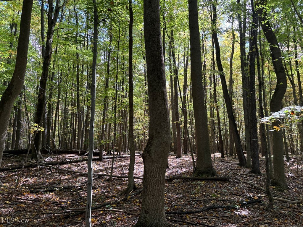 Connecticut Western Reserve - Land